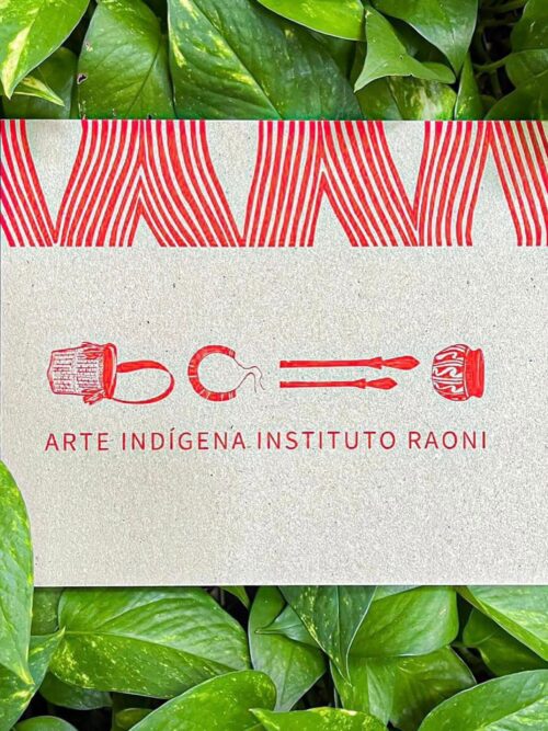 Arte Indígena Instituto Raoni