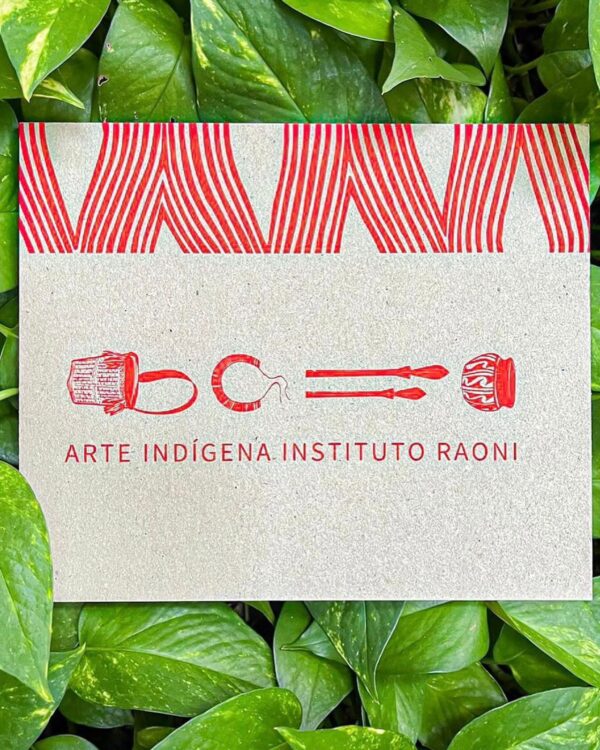 Arte Indígena Instituto Raoni