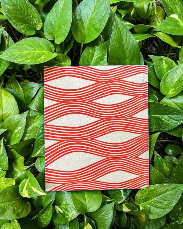 Arte Indígena Instituto Raoni