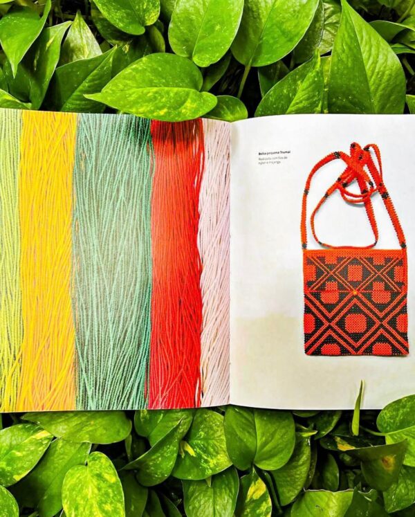 Arte Indígena Instituto Raoni